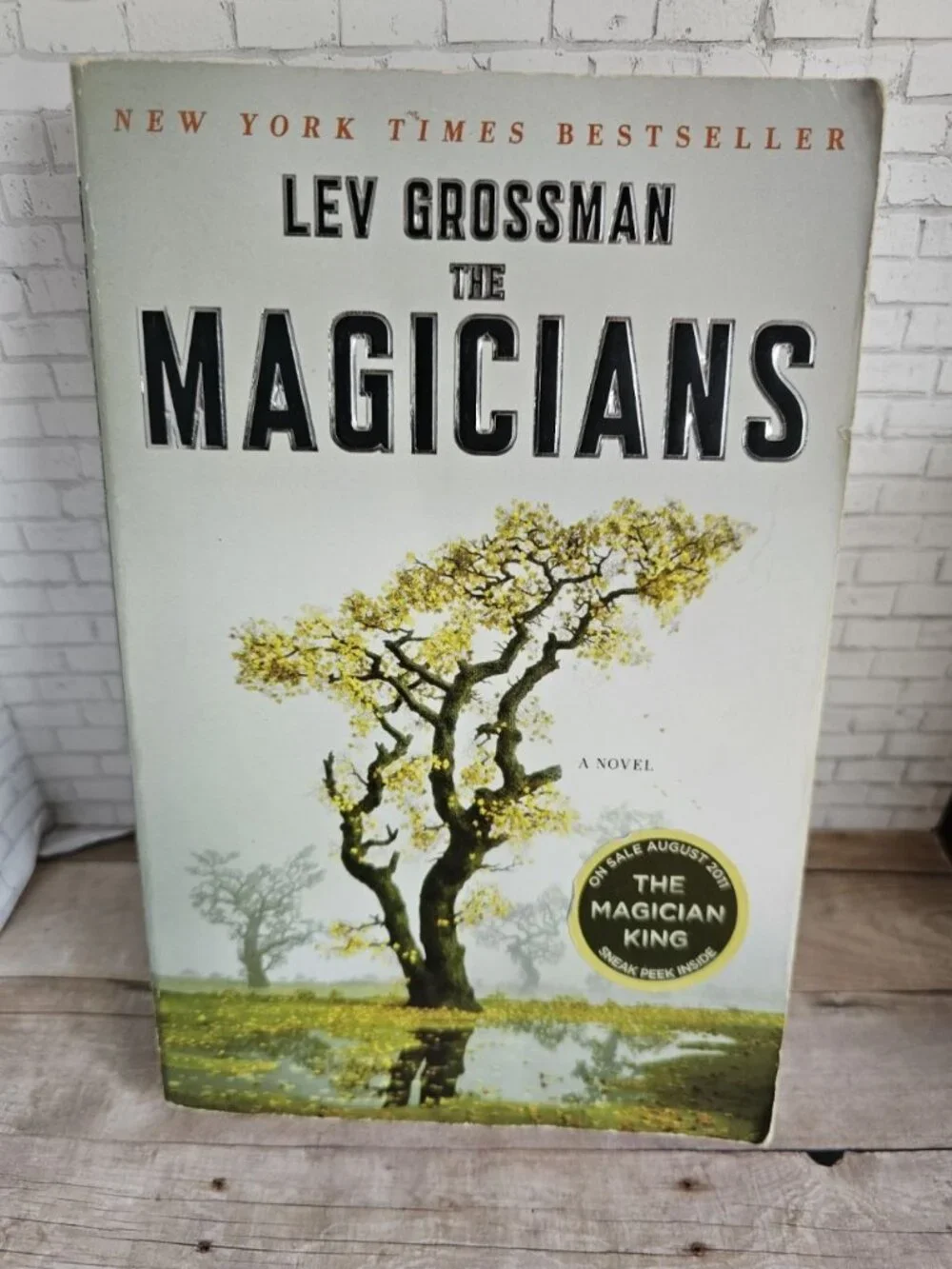 Lev Grossman The Magicians Plume 2010 Paperback Fantasy Novel Book 1